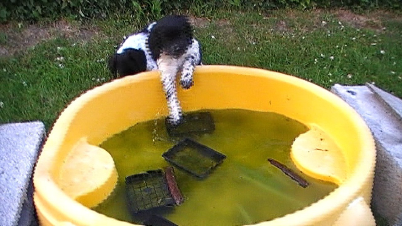 M1M2M3 à l'eau Esk X Boy 2017 -