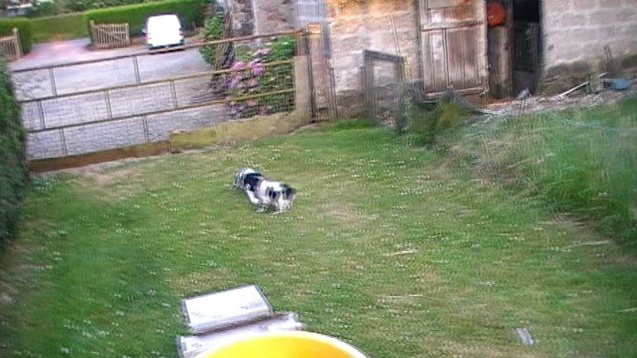 N°1, 2, 3 portée 2017 Esk X Boy -