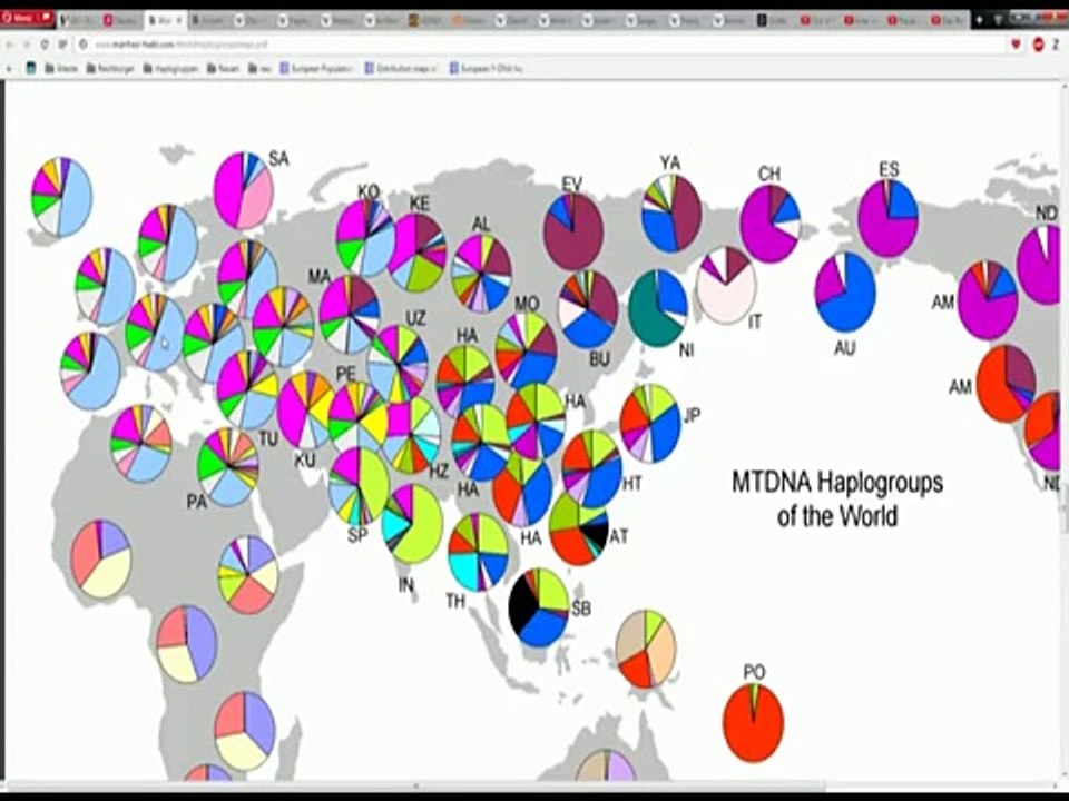 Rassen und Haplogruppen - Im Schutze des Grundgesetzes