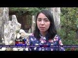 Rasakan Sensasi Ritual Minum Teh Ala Jepang di Lembang - NET5