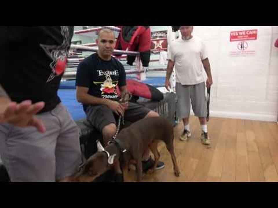 seckbach did good getting bit by the dogs EsNews Boxing