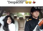 Despacito Song - (Chineese) Brother and Sister REACTION when DESPACTO comes ON