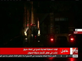 الحماية المدنية تواصل إخماد حريق حديقة الحيوان