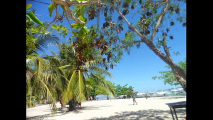 Honda Bay Island Hopping Tour