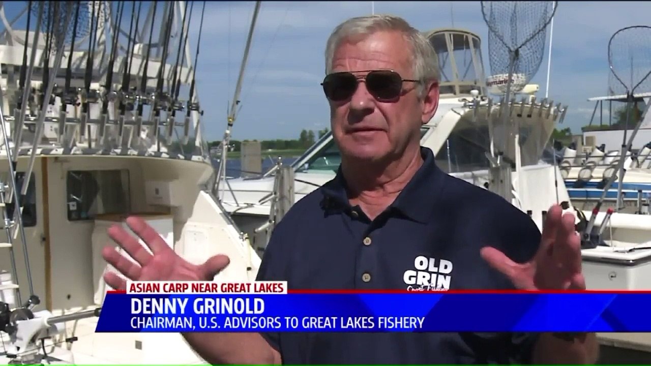 Live Asian Carp Found Near Lake Michigan