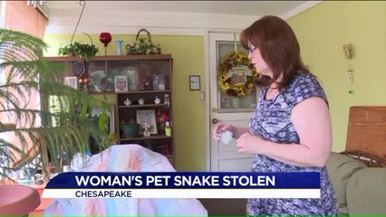 Virginia Woman Upset After Someone Stole Her Snake