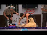 Kejuaraan Dunia Cukur Bulu Domba - NET24