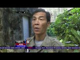 Membunuh dan Memasak Orangutan, 10 Orang Pekerja Perkebunan Kelapa Sawit Ditangkap - NET5