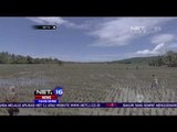 Ratusan Lahan Pertanian Rusak Akibat Banjir di Kabupaten Sumbawa - NET16