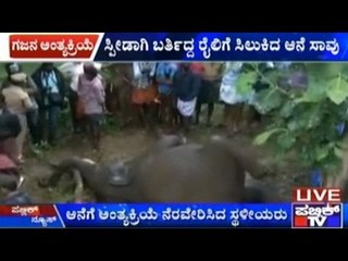 Palakkad: Speeding Train Kills Elephant