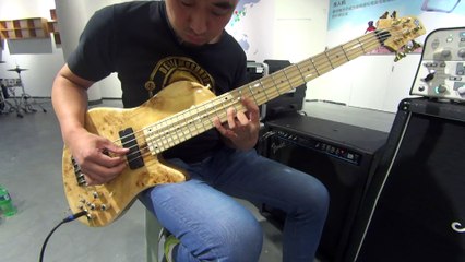 Custom Build 5 Strings Bass