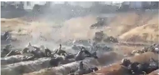 Oil tanker explosion in Pakistan Bahawalpur توبہ استغفراللہ توبہ استغفراللہ بچے نہ دیکھیں پلیز
