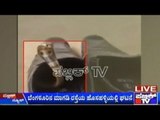 BEWARE: Cobra Found Inside Shoe In Bengaluru