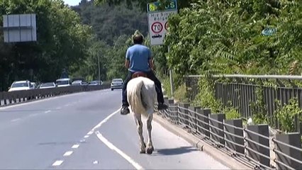 Asfalt Kovboyu Trafiği Alt Üst Etti