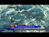 Umbul Kapilaler, Wisata Air yang Pas Buat Kamu yang Pengen Foto Underwater - NET12