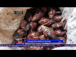 Download Video: Wajib Coba, Bekicot Goreng Kuliner Unik asal Lamongan - NET12