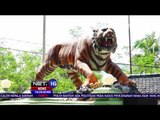 Pasca Viral di Media Sosial, Patung Harimau Komando Distrik di Garut Dihancurkan - NET16