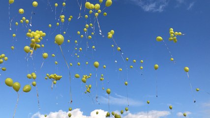 Un lâcher de ballons très suivi pour soutenir Clémence dans son combat contre la maladie