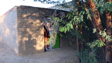 د کډوالې اختر به څنګه وی ؟