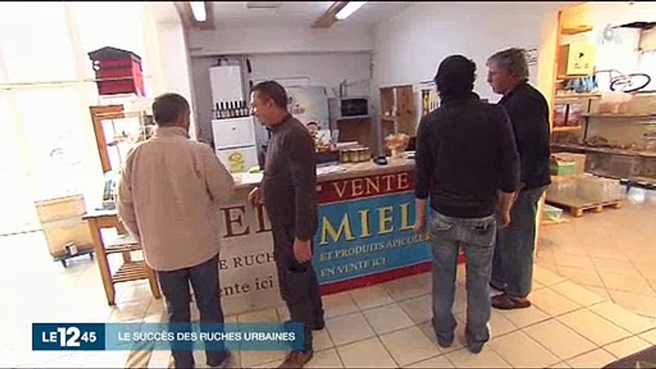 Mode : Les ruches prennent possession des jardins des particuliers ! Regardez