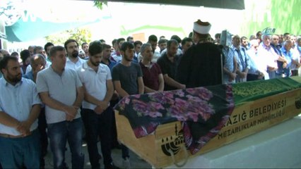 Mezarlık ziyaretinde arının soktuğu kadın öldü!