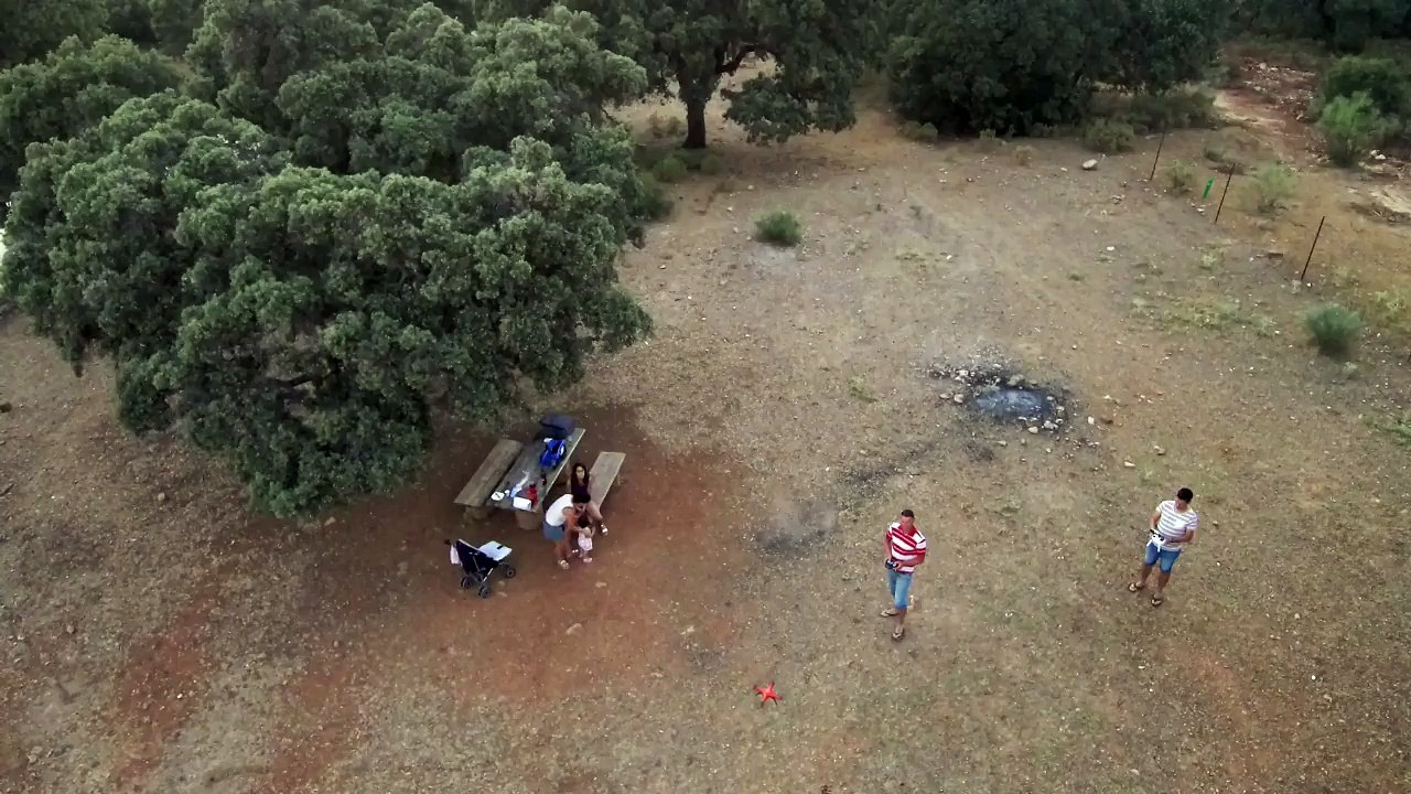 Oscar drone