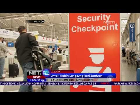 United Airlines Kembali Dikecam Usai Penumpang Tersengat Kalajengking di Pesawat - NET12