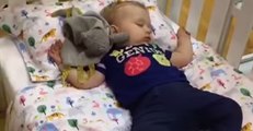 Dad Puts Baby Down for a Nap In Department Store Show Room
