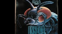 Boxcar - Insect (Club Mix) (A1)