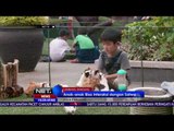 Live Report - Wisata Edukatif di Kampung Gajah Lembang - NET16