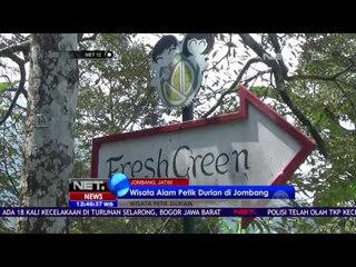 Wisata Alam Petik Durian di Jombang - NET12