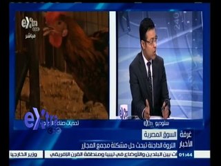 #غرفة_الأخبار | رئيس شعبة الثروة الداجنة : 40 ٪ نسبة تفوق الكتكوت خلال 2014