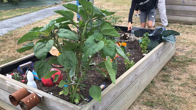 Les écoliers transforment les déchets en Art
