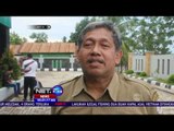 6 Orang Utan yang Lolos Tahap Rehabilitasi Dilepasliarkan - NET24