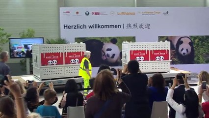 Deux pandas "ambassadeurs" de la Chine débarquent à Berlin
