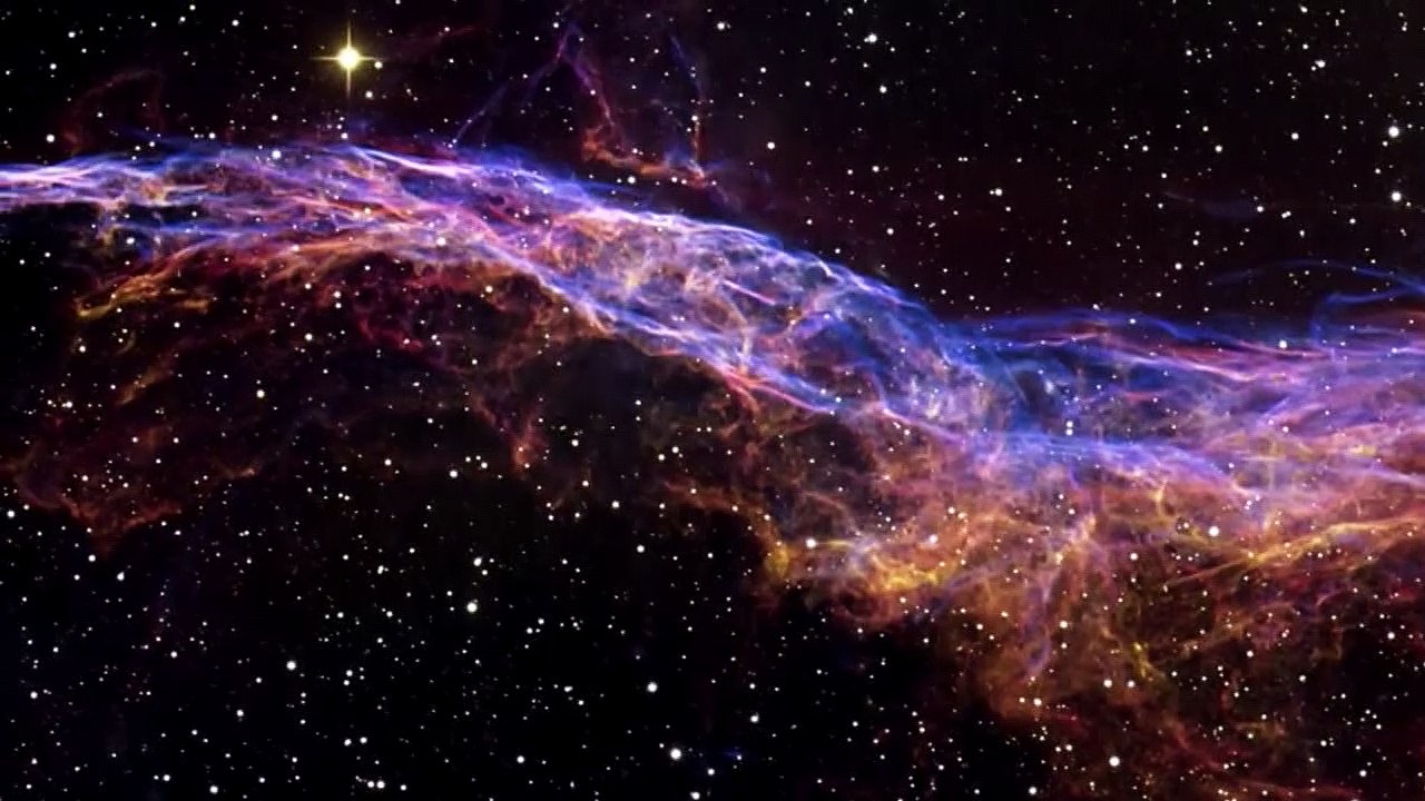 Heart Foliage (Part 1 of 4)