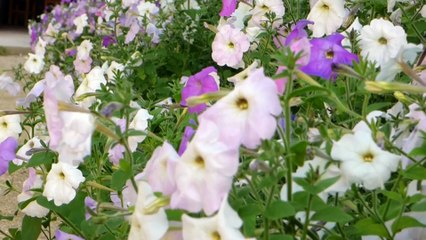 LR 낙태가능한병원 [중절수술 wwee338899@gmail.com ~메일로 문의하세요.] 낙태수술비용