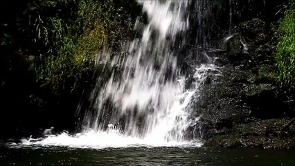 YC 낙태수술비용 [중절수술 wwee338899@gmail.com ~메일로 문의하세요.] 낙태수술병원