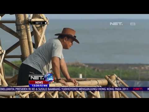 Menikmati Sejuk Suasana Hutan Mangrove di Kulonprogo - NET12