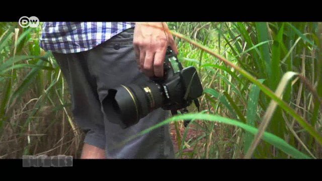 Fotografía: la imagen perfecta con una app | Enlaces