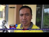 BKSDA Sumatera Barat Amankan Macan Dahan - NET12