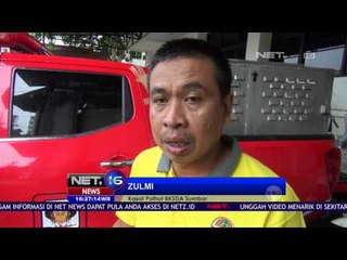 Macan Dahan yang Diserahkan Warga ke BKSDA Akhirnya Mati - NET16