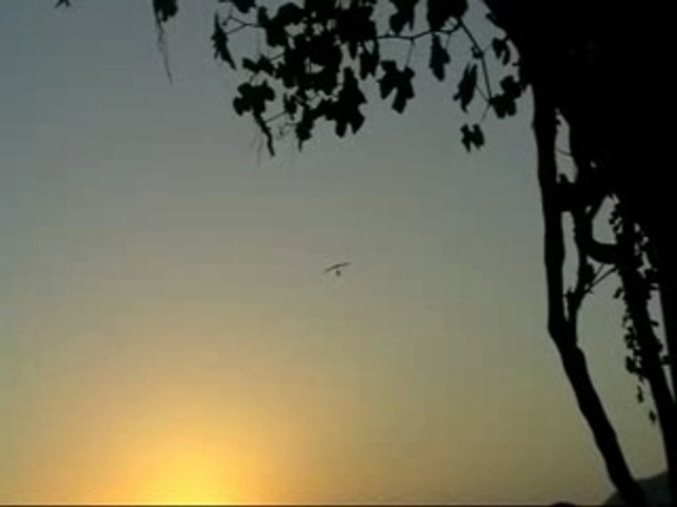 Turkey video Our Holiday this year