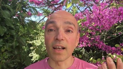 Christophe André, ou l'état catastrophique de la psychothérapie en France