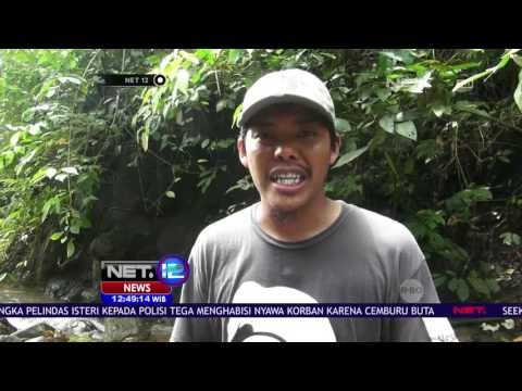 Bayi Gajah Ditemukan Mati di Aceh NET12