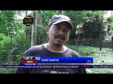 Relawan Mancanegara Rehabilitasi Satwa - NET16