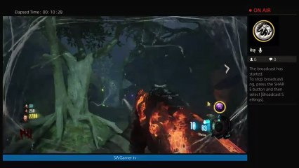 Cod bo3 zombie (124)