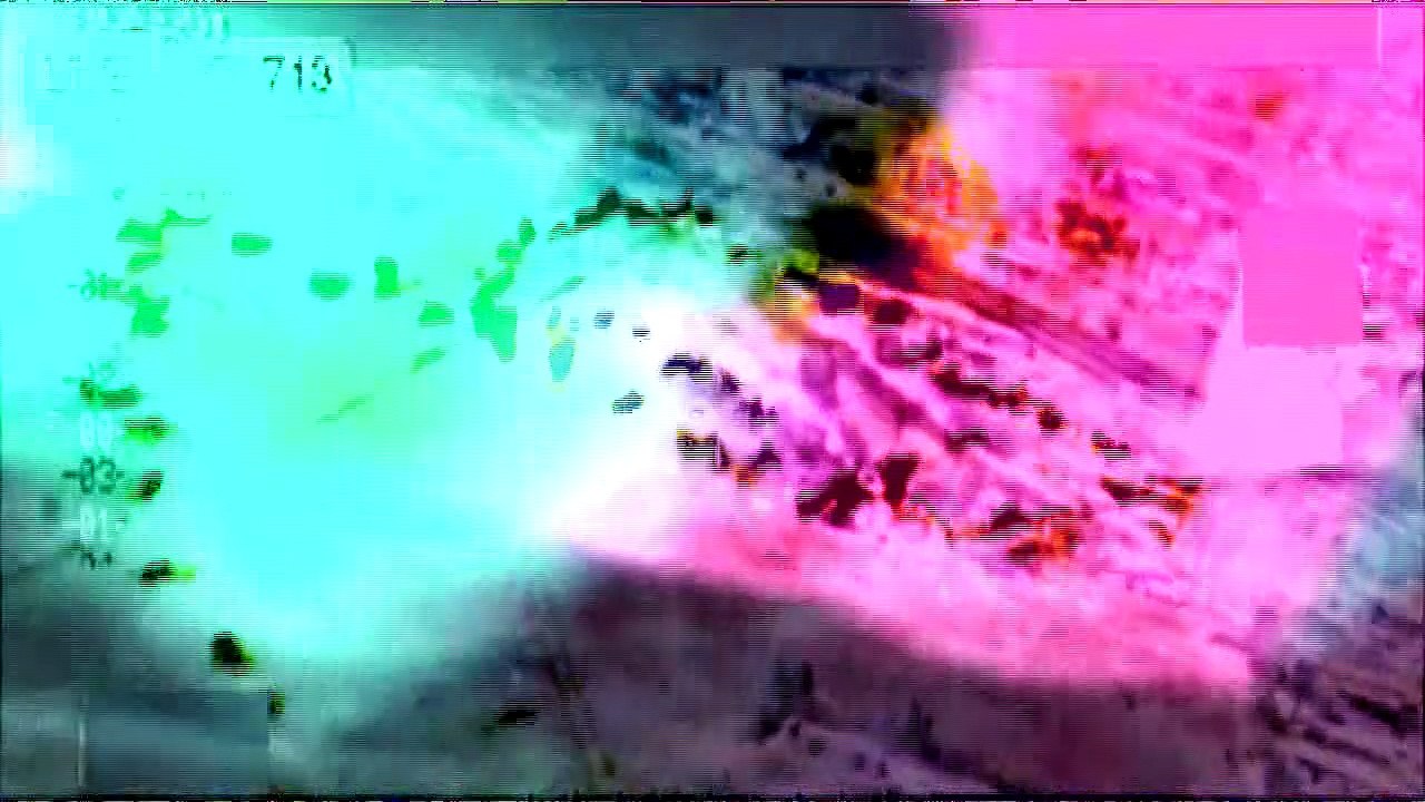 Heart Foliage (Part 3 of 4)