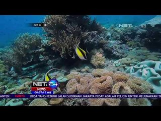 Caledonia Sky Menyanggupi Ganti Rugi - NET24