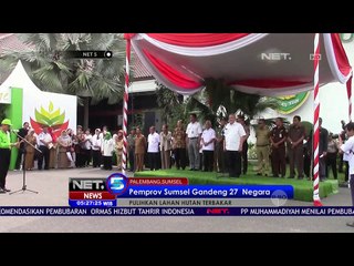 Pulihkan Lahan Hutan Terbakar - NET5